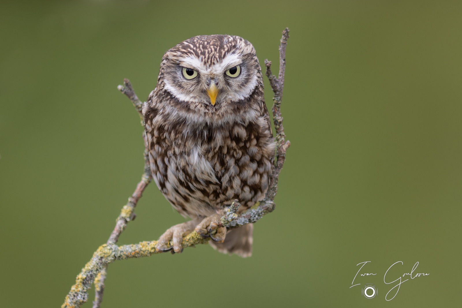 25 juni 2022 133236 1R2A0073